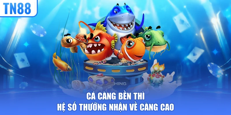 Cá càng bền thì hệ số thưởng nhận về càng cao