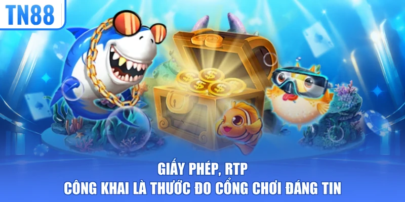 Giấy phép, RTP công khai là thước đo cổng chơi đáng tin